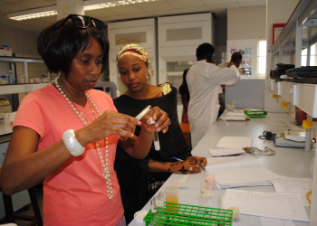 Matriculate Directly to the USA From AUN