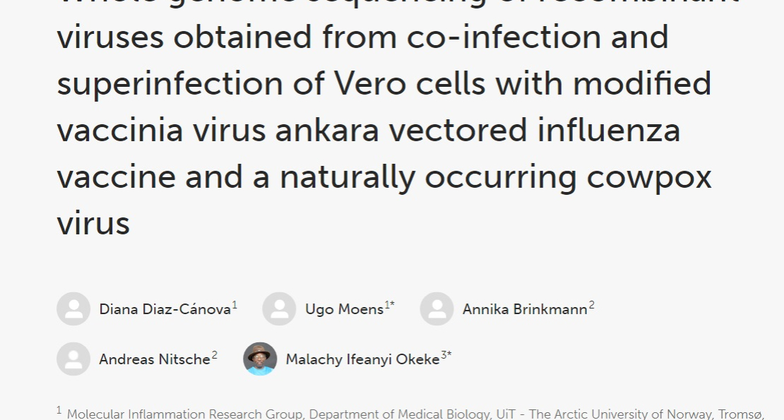 AUN Professor, Malachy Okeke, others Examine Poxvirus in Its Mosaic Form 